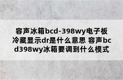 容声冰箱bcd-398wy电子板冷藏显示dr是什么意思 容声bcd398wy冰箱要调到什么模式